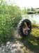 2011HWK 372_small.jpg